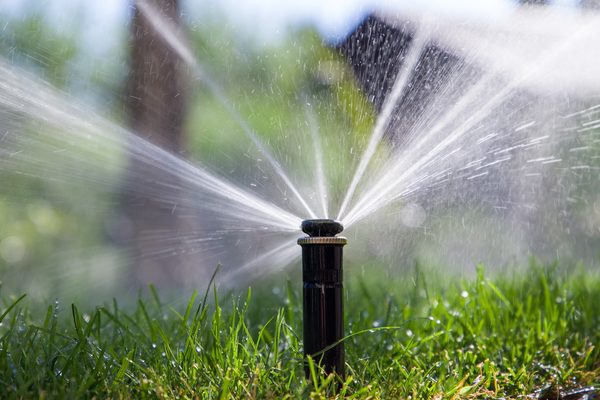 Irrigation system installation and repair — sprinkler head watering lawn