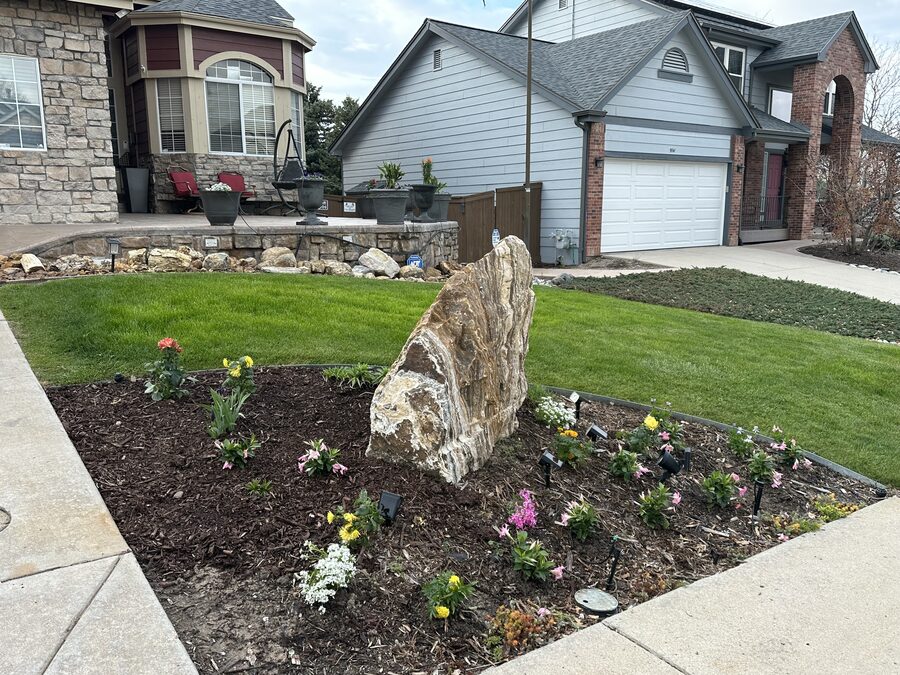 Residential landscape refresh with a feature boulder, seasonal color bed and manicured lawn in Colorado