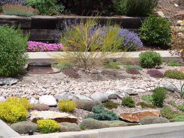 Xeriscaping — drought-tolerant, water-wise residential landscape